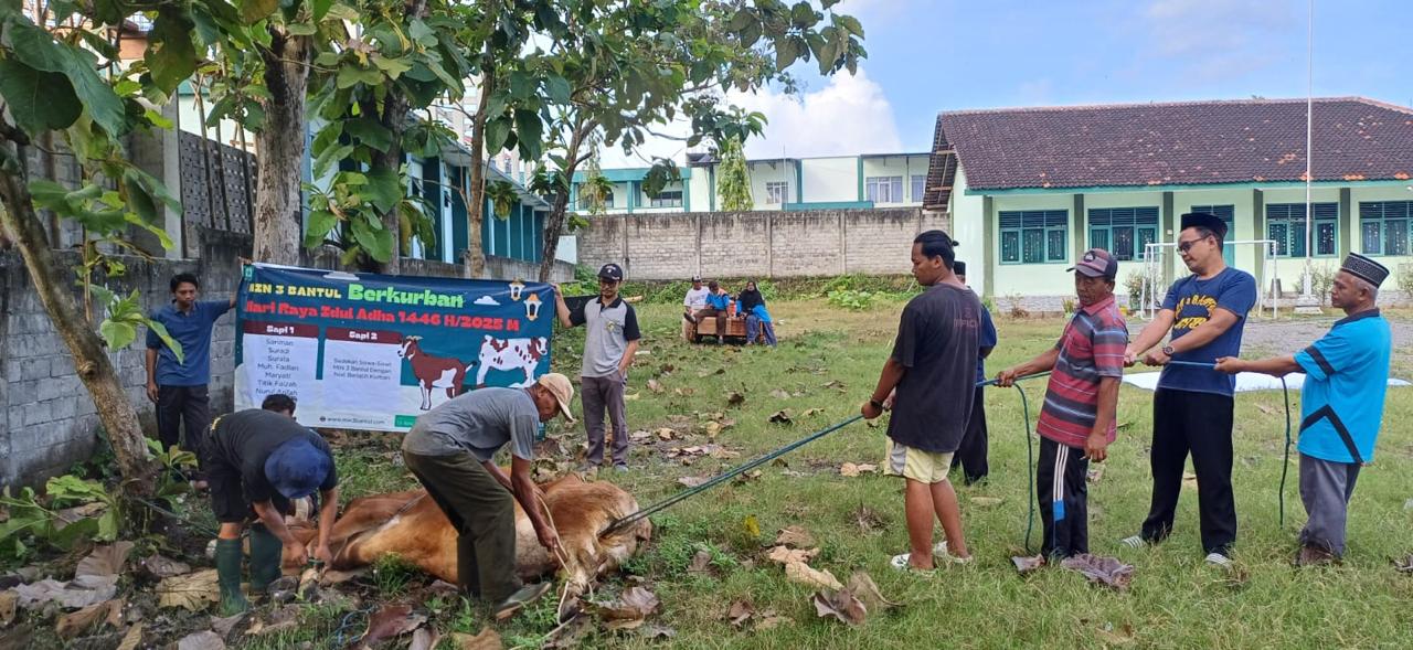MIN 3 Bantul Gelar Pemotongan Hewan Kurban: Implementasi Pembelajaran Kontekstual Karakter Profil Pelajar Pancasila